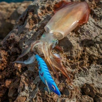 Mustad Baku Egi Lures 3.5in/20g